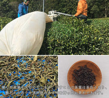 画像をギャラリービューアに読み込む, Drip Tea 天日干し茶 【7個入りデイリーパック】